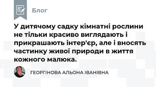У дитячому садку кімнатні рослини не тільки красиво виглядають і прикрашають інтер'єр, але і вносять частинку живої природи в життя кожного малюка.