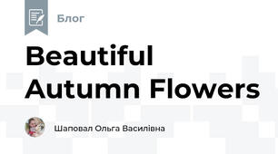 Beautiful Autumn Flowers