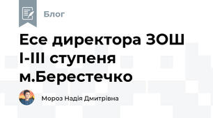 Есе директора ЗОШ І-ІІІ ступеня м.Берестечко