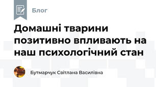 Домашні тварини позитивно впливають на наш психологічний стан