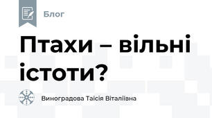Птахи – вільні істоти?