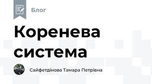 Коренева система