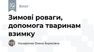 Зимові роваги, допомога тваринам взимку