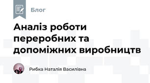 Аналіз роботи переробних та допоміжних виробництв