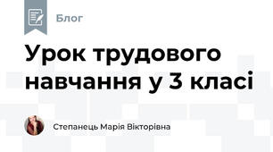 Урок трудового навчання у 3 класі