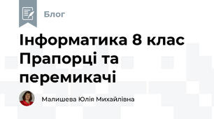 Інформатика 8 клас Прапорці та перемикачі
