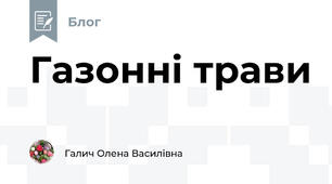 Газонні трави