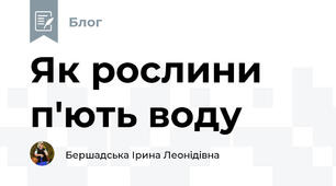  Як рослини п'ють воду 