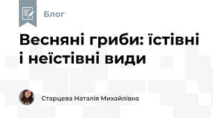 Весняні гриби: їстівні і неїстівні види