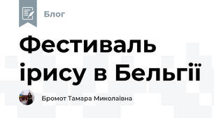 Фестиваль ірису в Бельгії