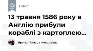 13 травня 1586 року в Англію прибули кораблі з картоплею...