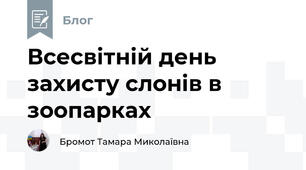 Всесвітній день захисту слонів в зоопарках