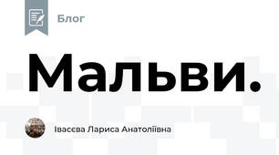 Мальви.