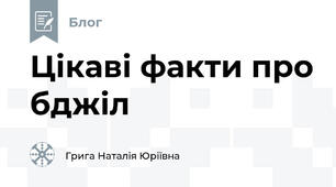 Цікаві факти про бджіл