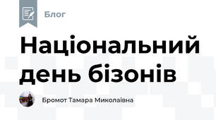 Національний день бізонів