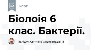 Біолоія 6 клас. Бактерії.
