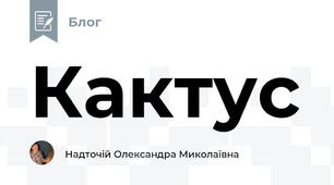 Кактус