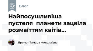 Найпосушливіша пустеля  планети зацвіла розмаїттям квітів...