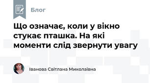 Що означає, коли у вікно стукає пташка. На які моменти слід звернути увагу