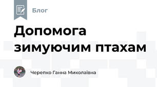 Допомога зимуючим птахам