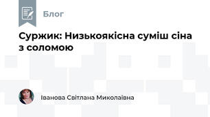 Суржик: Низькоякісна суміш сіна з соломою 