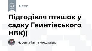 Підгодівля пташок у садку Гвинтівського НВК))