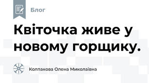 Квіточка живе у новому горщику.