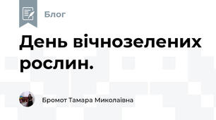 День вічнозелених рослин. 
