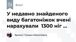 У недавно знайденого виду багатоніжок вчені нарахували  1300 ніг ...