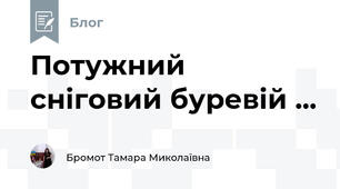 Потужний сніговий буревій ...