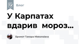 У Карпатах вдарив  мороз...