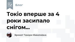 Токіо вперше за 4 роки засипало снігом...