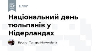 Національний день тюльпанів у Нідерландах