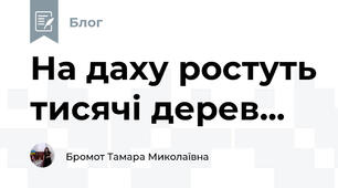 На даху ростуть тисячі дерев...