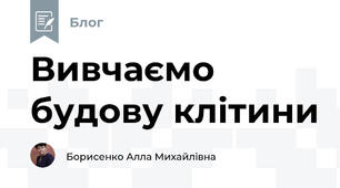 Вивчаємо будову клітини