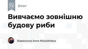 Вивчаємо зовнішню будову риби