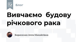 Вивчаємо  будову річкового рака