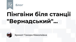 Пінгвіни біля станції "Вернадський"...