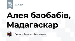 Алея баобабів, Мадагаскар