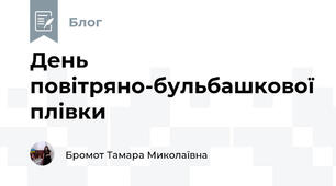 День повітряно-бульбашкової плівки