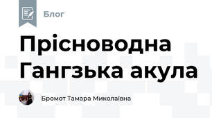 Прісноводна Гангзька акула 