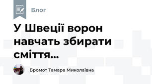 У Швеції ворон навчать збирати  сміття... 