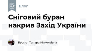 Сніговий буран накрив Захід України