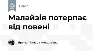 Малайзія потерпає від повені