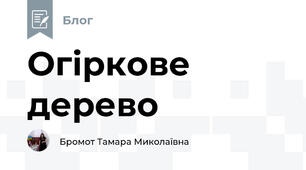 Огіркове дерево