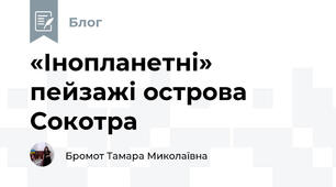 «Інопланетні» пейзажі острова Сокотра