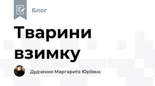 Тварини взимку