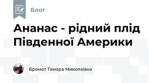 Ананас - рідний плід Південної Америки