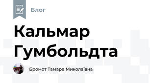 Кальмар Гумбольдта