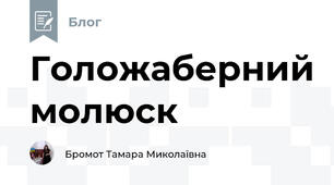 Голожаберний молюск